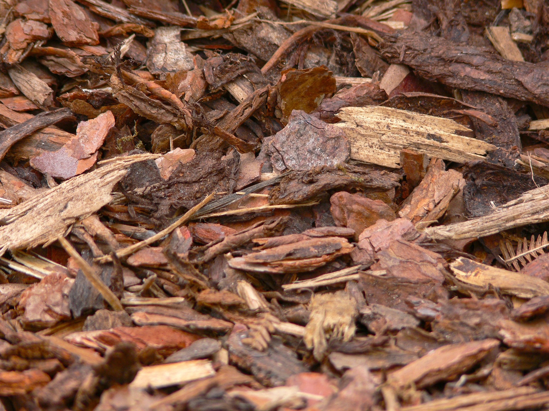 Crucial tree care tips for property owners include how to properly use mulch