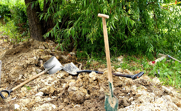 Digging on or through the root plate can severely daamage roots needed for your tree to survive