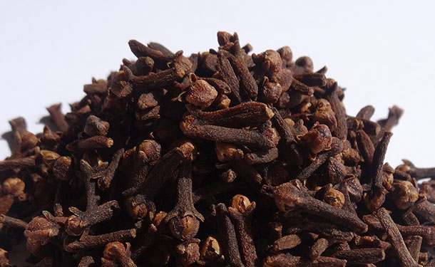 Eugenia species produce cloves from dried buds