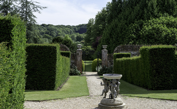 Zone 8 landscape with hicks yew shrubs for shade