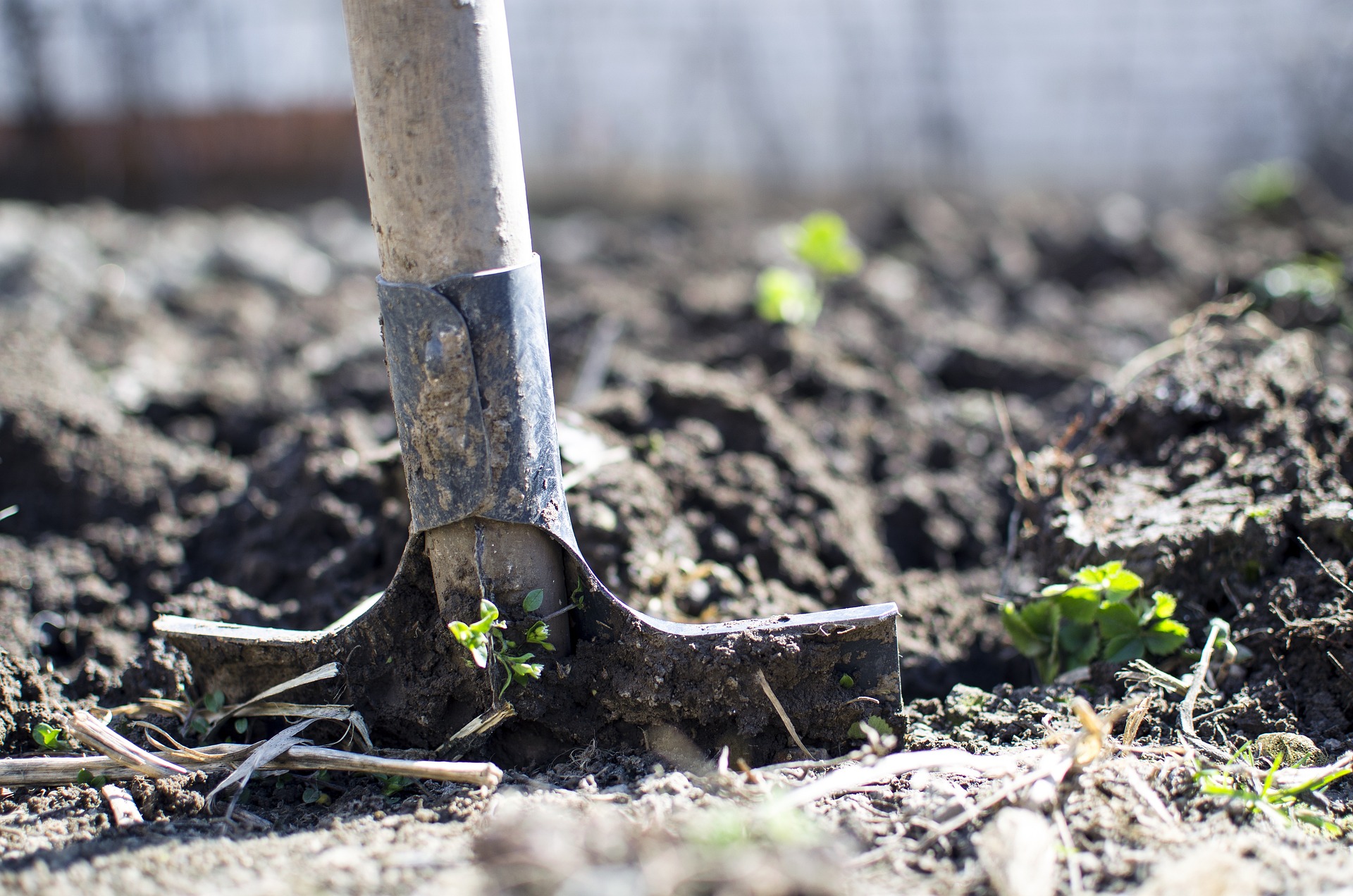 Crucial tree care tips for property owners include digging a hole for planting