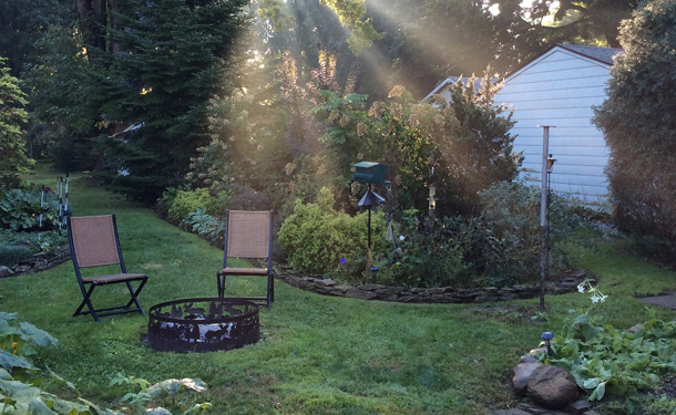 Zone 8 backyard landscape with shrubs for shade