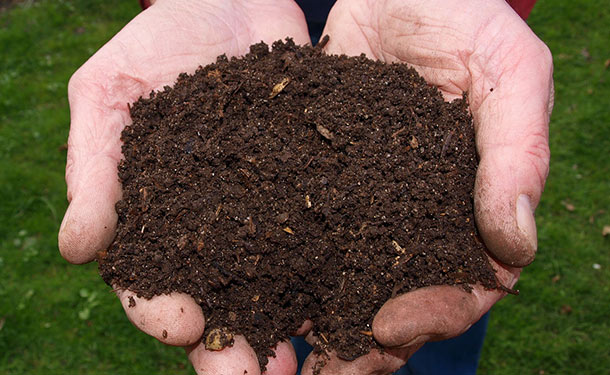 Organic mulch added to soil to reverse and prevent compaction