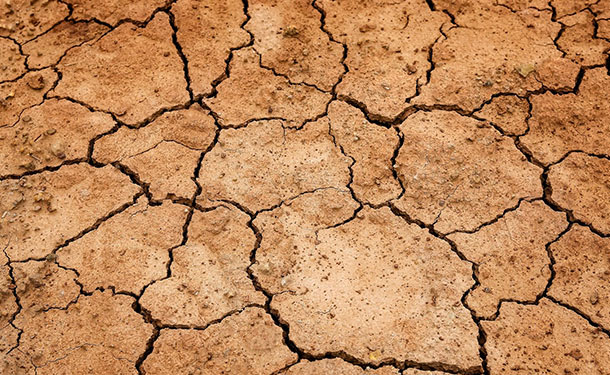 Soil compaction and crusting occur when topsoil is eroded and it rains