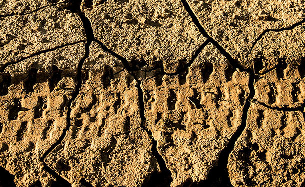 soil compacted by erosion and vehicular traffic