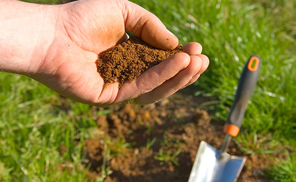 soil sample test