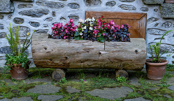 tree stump planter flower bed