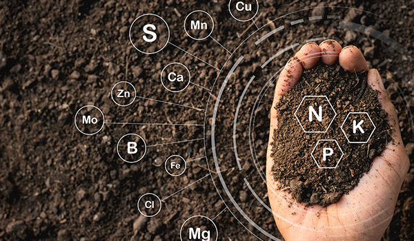 testing soil