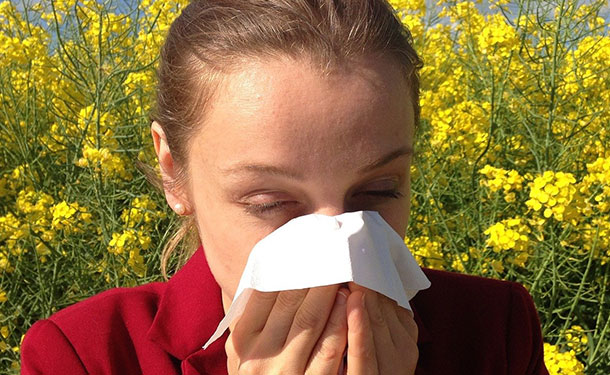 Tree pollen allergy season symptoms and relief
