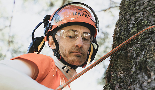 tree service arborist