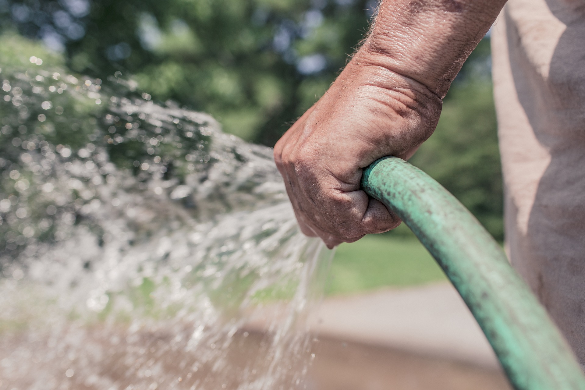 Crucial tree care tips for property owners include watering schedules