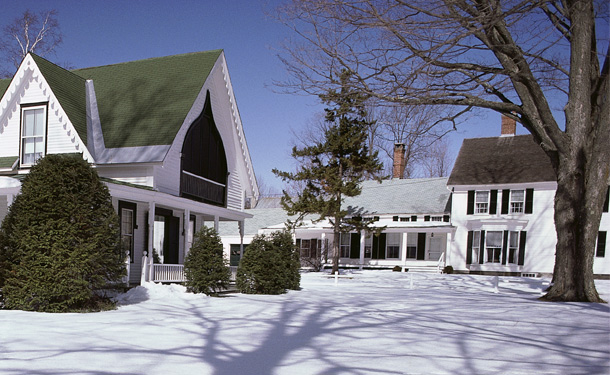 Winter yard with evergreens and deciduous trees and shrubs